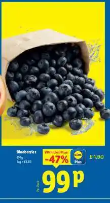 Lidl Blueberries offer