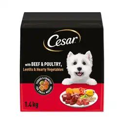 Tesco Cesar Dog Dry Adult Beef, Poultry & Vegetables 1.4kg offer