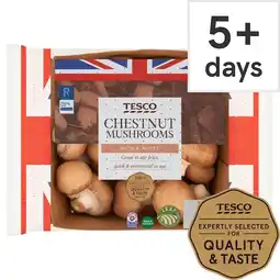 Tesco Tesco Family Pack Chestnut Vitamin D Mushrooms 485G offer