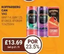Bestway KOPPARBERG Can offer