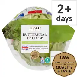 Tesco Tesco Butterhead Lettuce offer