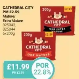 Bestway Cathedral city mature/ extra mature offer