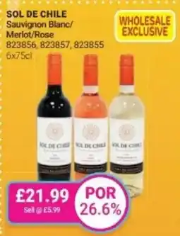 Bestway SOL DE CHILE Sauvignon Blanc/ Merlot/Rose offer