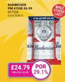 Bestway Budweiser offer