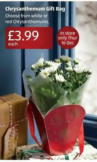 Aldi Chrysanthemum Gift Bag offer