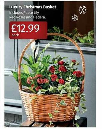 Aldi Luxury Christmas Basket offer