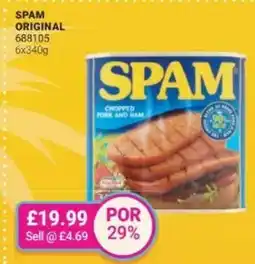Bestway Spam original offer