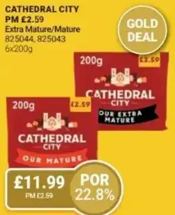 Bestway CATHEDRAL CITY Extra Mature/Mature offer