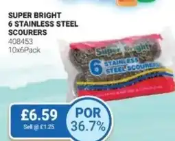 Bestway Super bright 6 stainless steel scourers offer