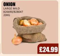 Bestway ONION Large mild offer