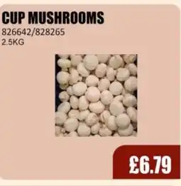 Bestway Cup mushrooms offer