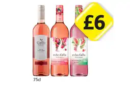 Londis Gallo White Zinfandel, Echo Falls Summer Berries, Watermelon & Kiwi offer