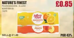 Bestway NATURE'S FINEST Peach/mandarin - in juice offer