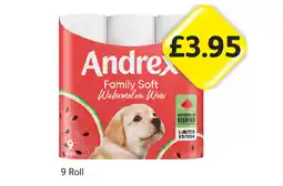Londis Andrex Family Soft Watermelon Wow offer