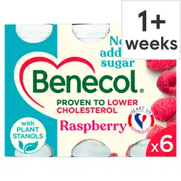 Tesco Benecol Raspberry No Added Sugar 6 x 67.5g offer