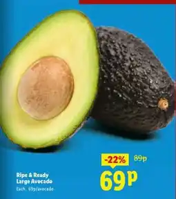 Lidl Ripe & Ready Large Avocado offer