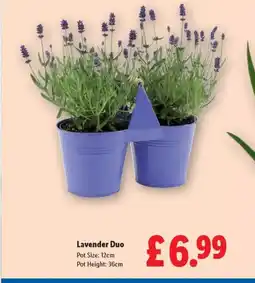 Lidl Lavender Duo offer