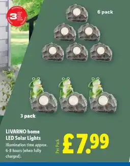 Lidl LIVARNO HOME LED Solar Lights offer