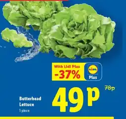 Lidl Butterhead Lettuce offer