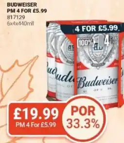 Bestway BUDWEISER offer