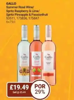 Bestway GALLO Summer Rosé Wine/ Spritz Raspberry & Lime/ Spritz Pineapple & Passionfruit offer