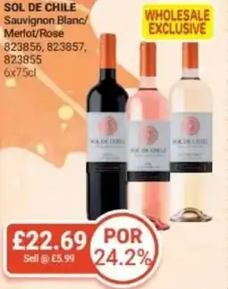 Bestway SOL DE CHILE Sauvignon Blanc/ Merlot/Rose offer