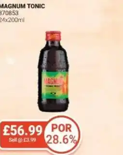 Bestway Magnum tonic offer
