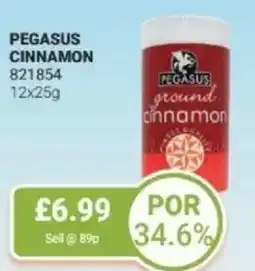 Bestway Pegasus cinnamon offer