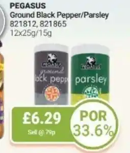 Bestway PEGASUS Ground Black Pepper/Parsley offer