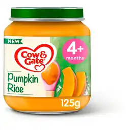 Morrisons Cow & Gate Pumpkin Rice Baby Food Snack Jar 4+ Months 125g offer
