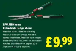 Lidl LIVARNO home Extendable Hedge Shears offer