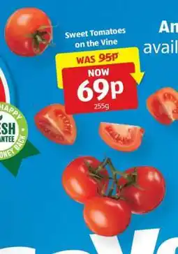 Aldi Sweet Tomatoes on the Vine offer