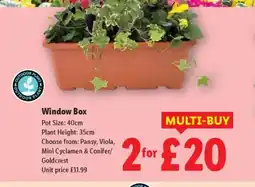 Lidl Window Box offer