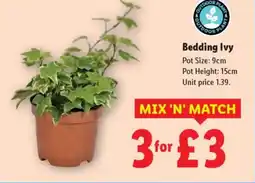 Lidl Bedding Ivy offer