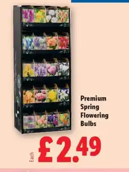 Lidl Premium Spring Flowering Bulbs offer