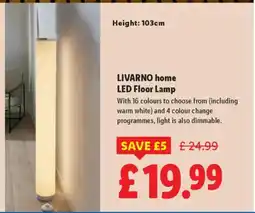 Lidl LIVARNO HOME LED Floor Lamp offer