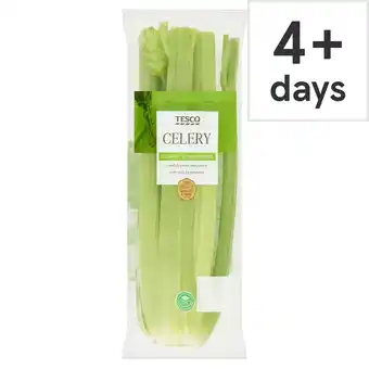 Tesco Tesco Celery offer
