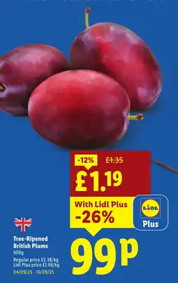 Lidl Tree-Ripened British Plums offer