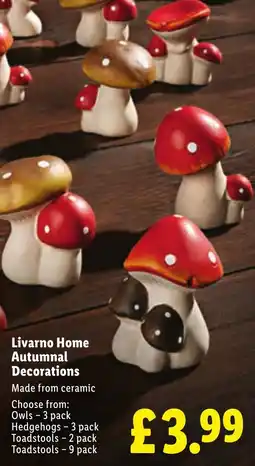 Lidl Livarno Home Autumnal Decorations offer
