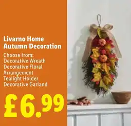 Lidl Livarno Home Autumn Decoration offer