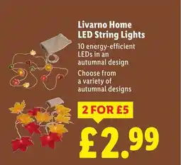 Lidl Livarno Home LED String Lights offer