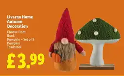 Lidl Livarno Home Autumn Decoration offer