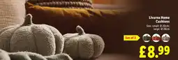 Lidl Livarno Home Cushions offer