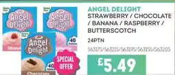 Bestway ANGEL DELIGHT Strawberry / chocolate / banana / raspberry / butterscotch offer