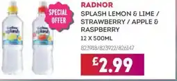 Bestway RADNOR Splash lemon & lime / strawberry / apple & raspberry offer