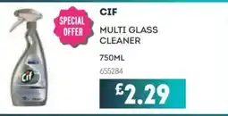 Bestway CIF Multi glass cleaner offer