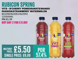 Bestway RUBICON SPRING offer