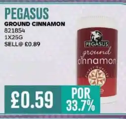 Bestway PEGASUS Ground cinnamon offer
