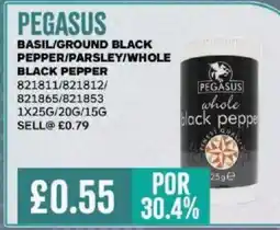 Bestway PEGASUS Basil/ground black pepper/parsley/whole black pepper offer