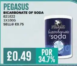 Bestway PEGASUS Bicarbonate of soda offer